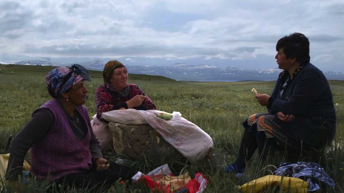 Image Description