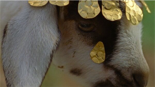 Visuel de Les Saisons